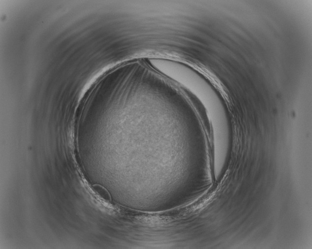 X0000085750896200703301359