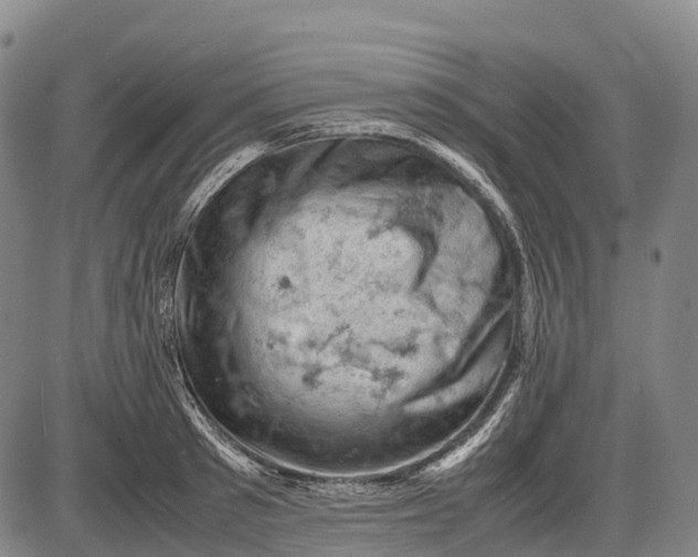 X0000085750897200703301359