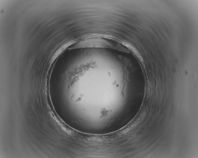 X0000085750898200703301359