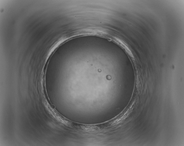 X0000085750899200703301359