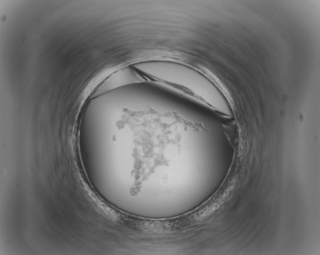 X0000085750901200703301359