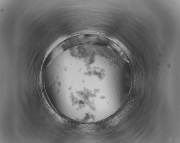 X0000085750902200703301359