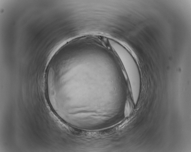 X0000085750903200703301359