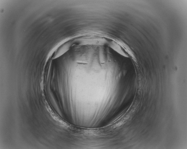 X0000085750904200703301359