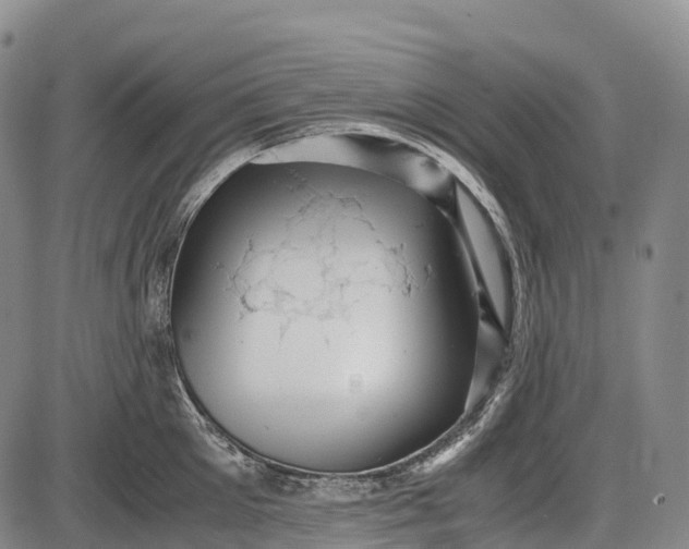 X0000085750905200703301359