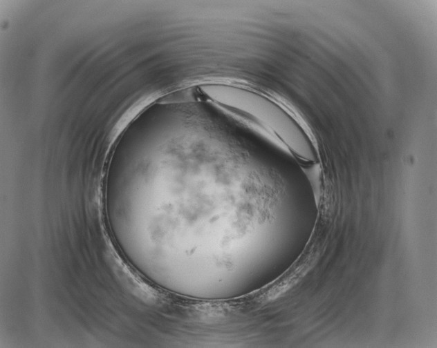 X0000085750906200703301359