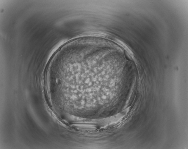 X0000085750907200703301359