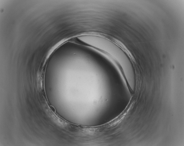 X0000085750908200703301359