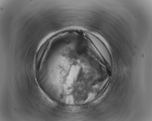 X0000085750910200703301359