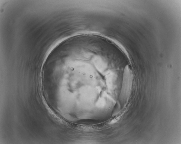 X0000085750911200703301359