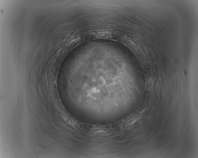 X0000085750913200703301358