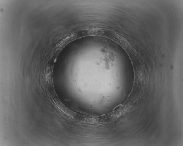 X0000085750914200703301358