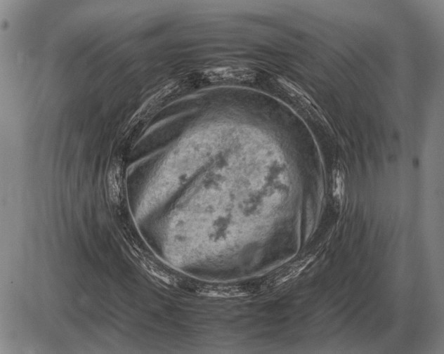 X0000085750915200703301358