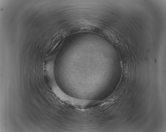 X0000085750916200703301358