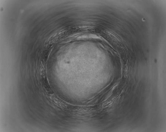 X0000085750917200703301358