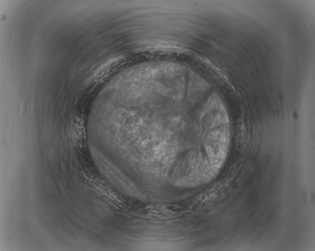 X0000085750918200703301358