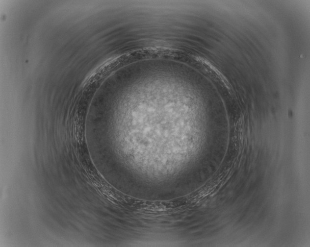 X0000085750919200703301358