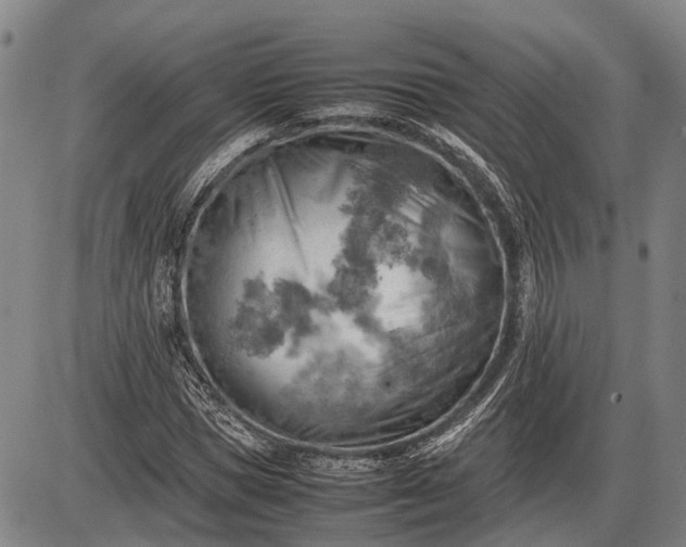 X0000085750921200703301358