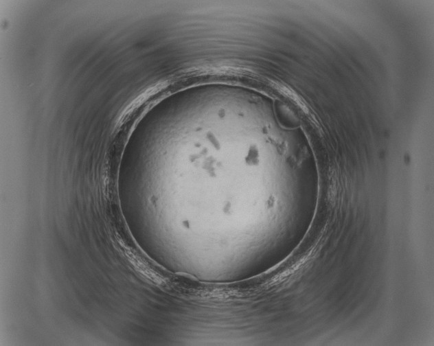 X0000085750922200703301358