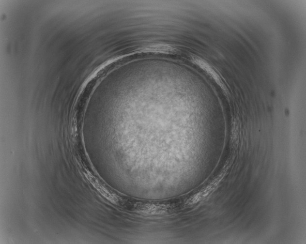 X0000085750923200703301358