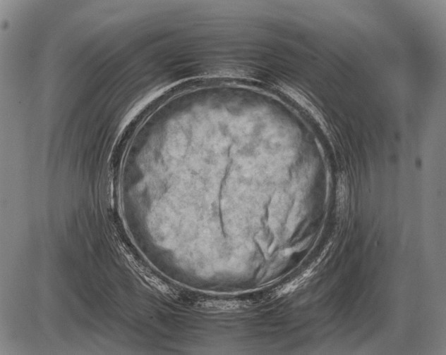 X0000085750925200703301358