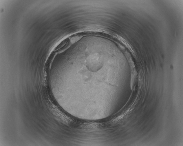 X0000085750926200703301358