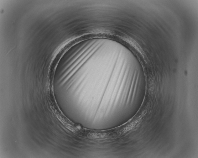 X0000085750927200703301358