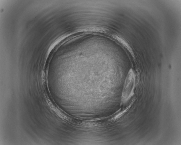 X0000085750928200703301358