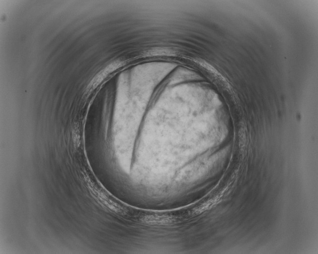 X0000085750929200703301358