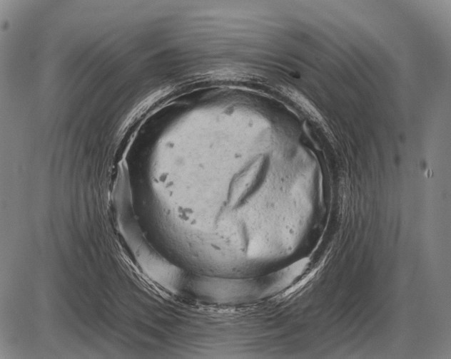 X0000085750930200703301358