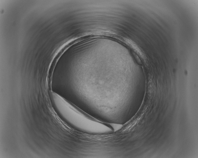 X0000085750932200703301358