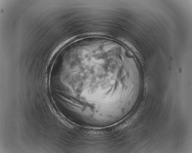 X0000085750933200703301358