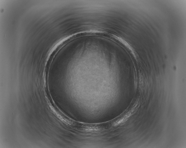 X0000085750935200703301358