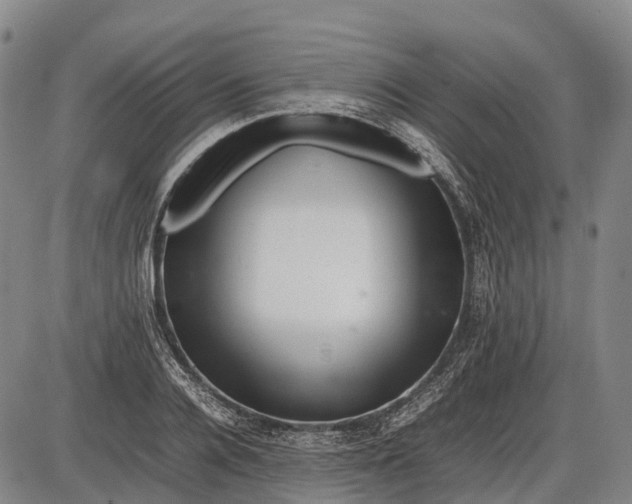 X0000085750936200703301358