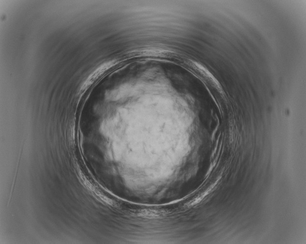 X0000085750938200703301358