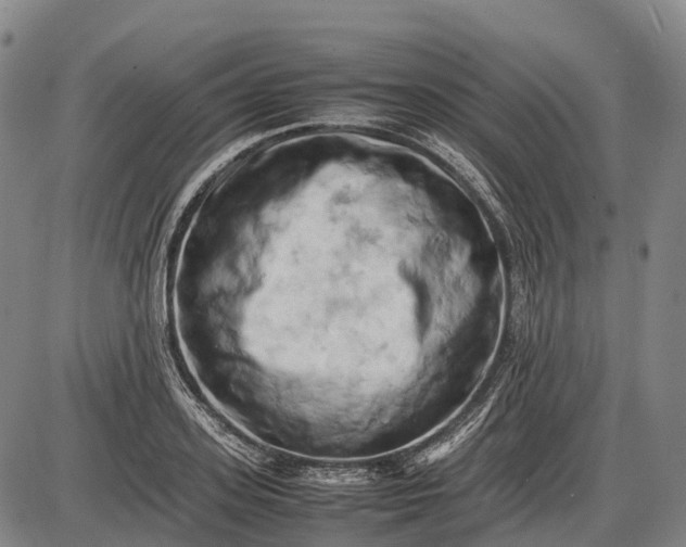 X0000085750939200703301358