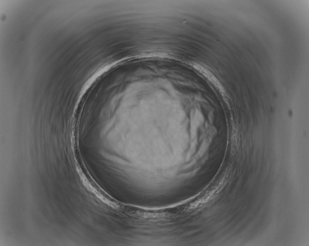 X0000085750941200703301358