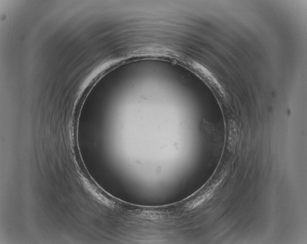 X0000085750942200703301358