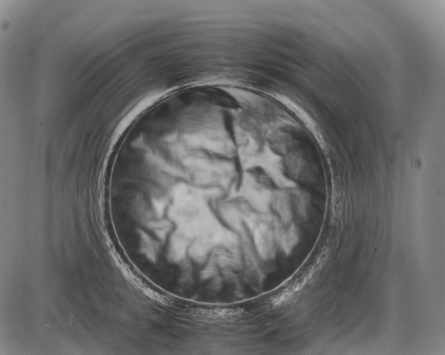 X0000085750949200703301358