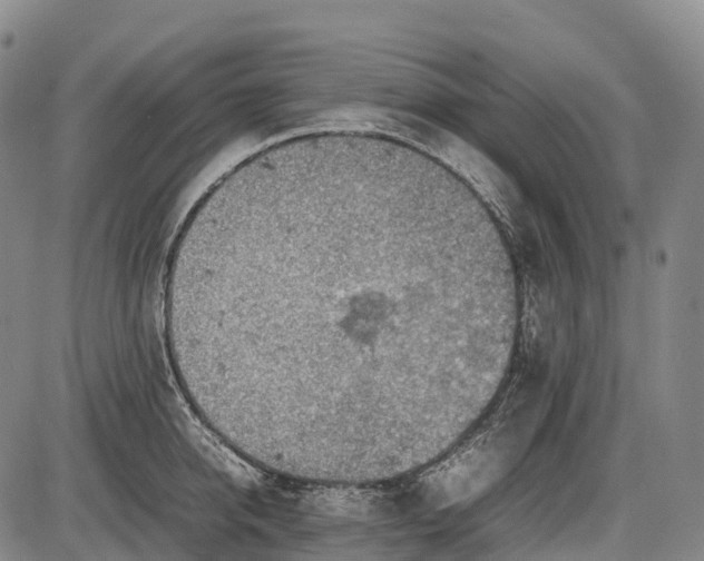 X0000085750950200703301358