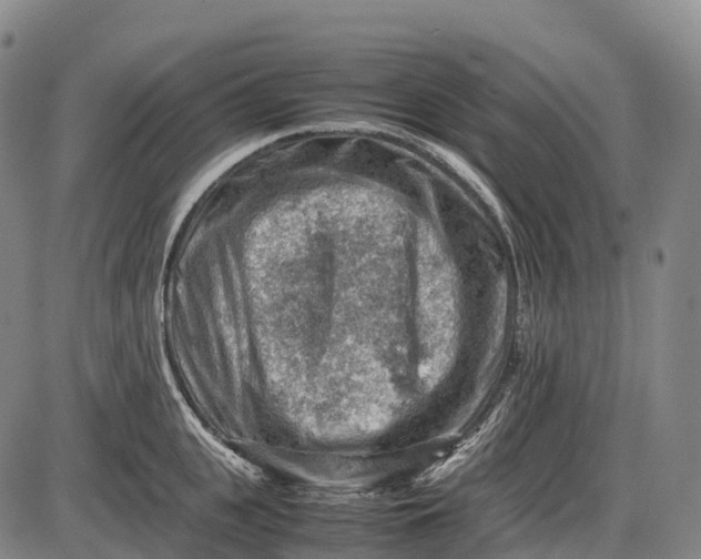 X0000085750951200703301359