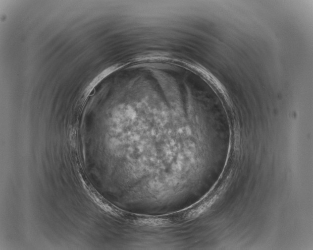 X0000085750953200703301359