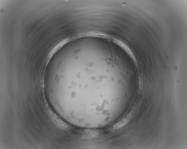 X0000085750954200703301359