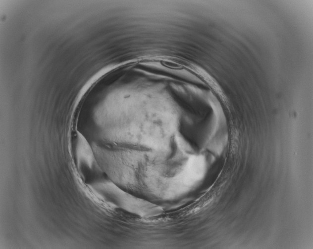 X0000085750955200703301359