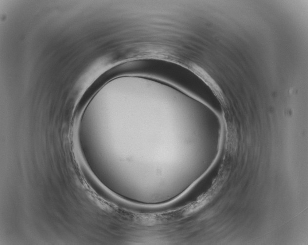 X0000085750956200703301359