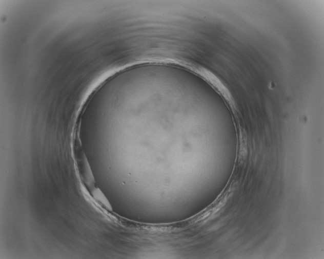 X0000085750958200703301359