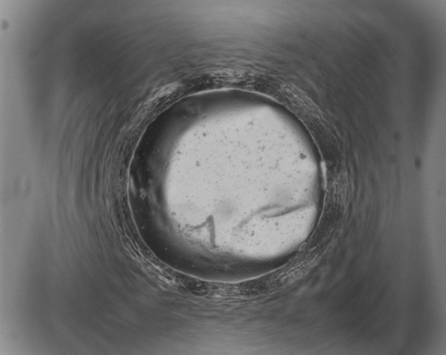 X0000085750961200703301358