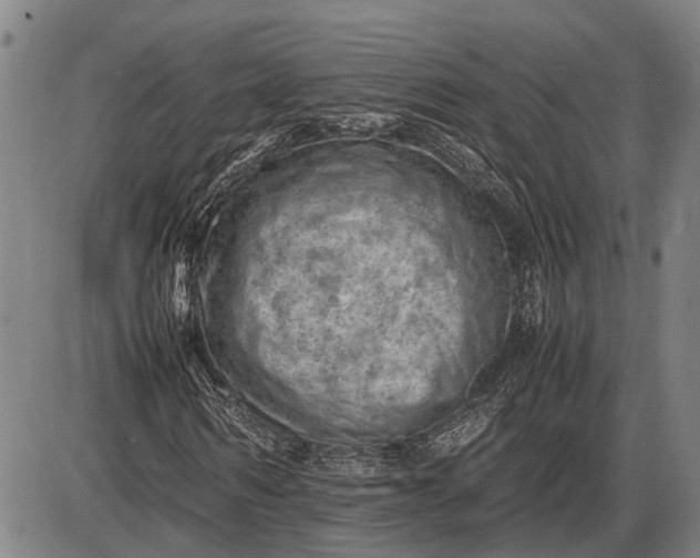 X0000085750962200703301358