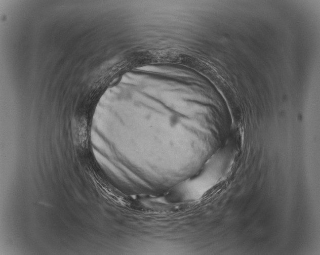 X0000085750963200703301358