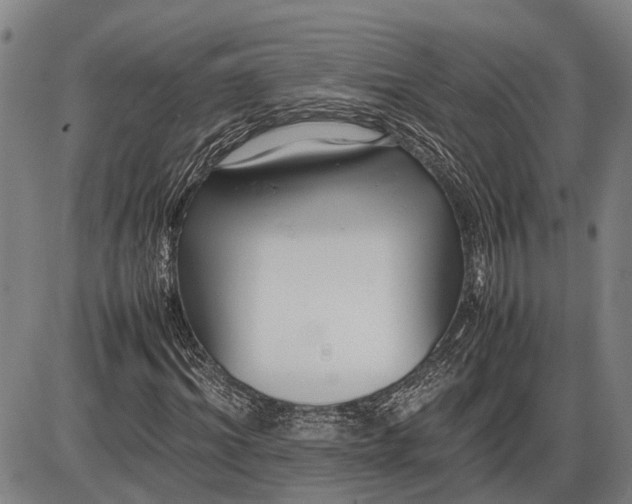 X0000085750964200703301358